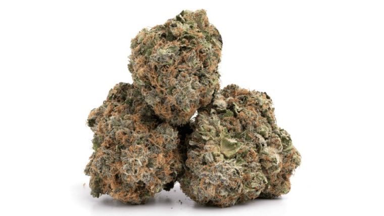 Order Cannabis Seeds Online for Your Next Growing Adventure