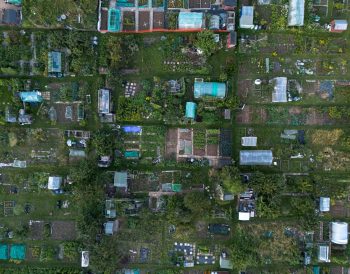 Rentomojo IPO allotment status