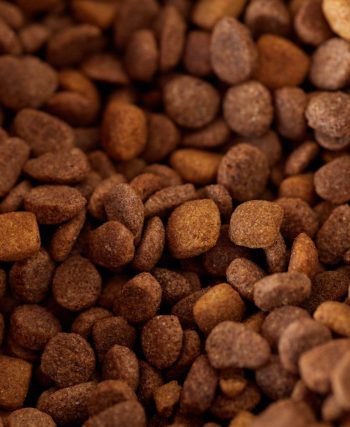 pet food startup funding